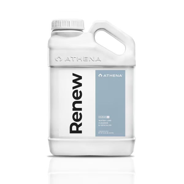 Athena Renew 5 gallon
